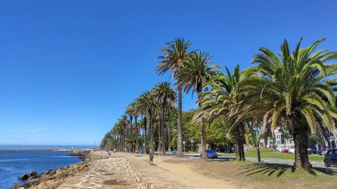 T3 c/ jardim à Marechal Gomes da Costa
