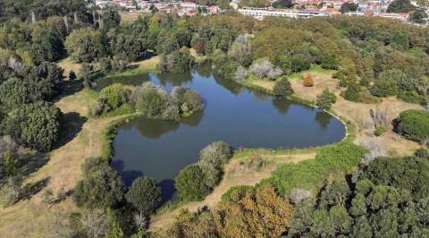 T4 na Prelada junto ao Parque de Requesende