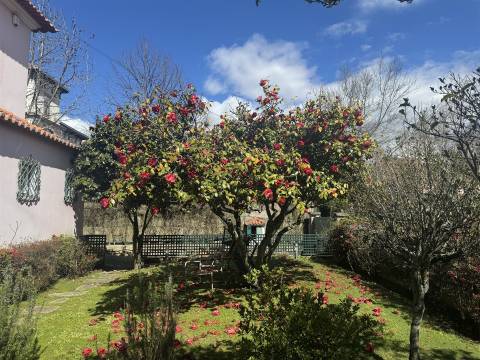 Moradia T6 c/ T1 no jardim à Boavista no Bairro Hollywood