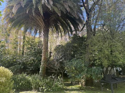 Moradia T6 c/ T1 no jardim à Boavista no Bairro Hollywood