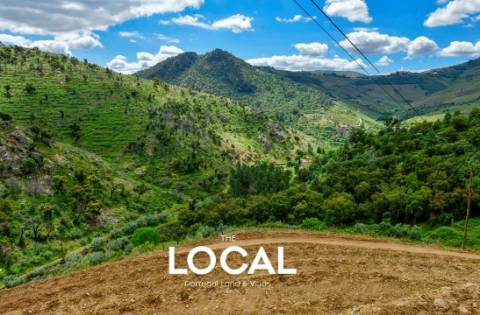 QUINTA HISTÓRICA DO DOURO