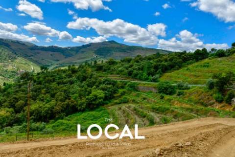 QUINTA HISTÓRICA DO DOURO