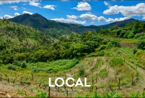 QUINTA HISTÓRICA DO DOURO