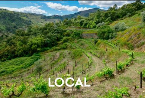 QUINTA HISTÓRICA DO DOURO