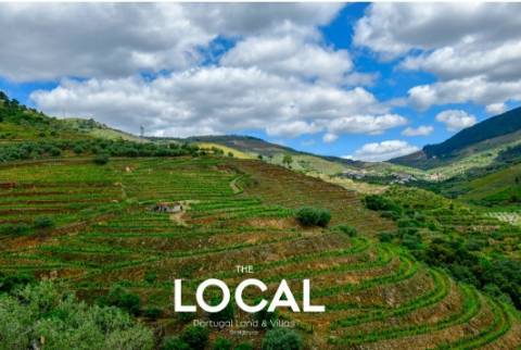 QUINTA HISTÓRICA DO DOURO