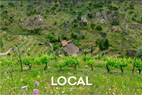 QUINTA HISTÓRICA DO DOURO