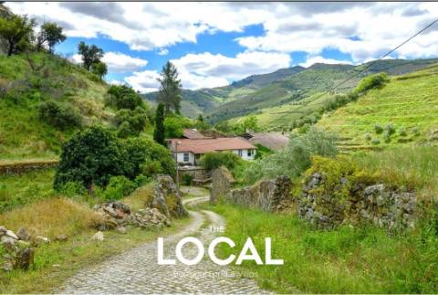 QUINTA HISTÓRICA DO DOURO