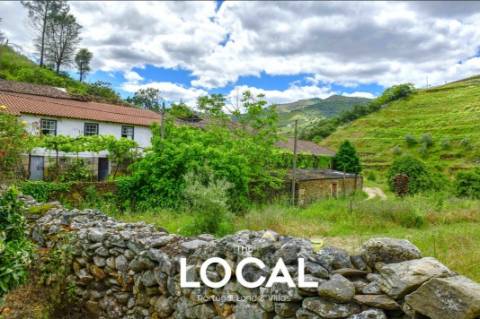 QUINTA HISTÓRICA DO DOURO