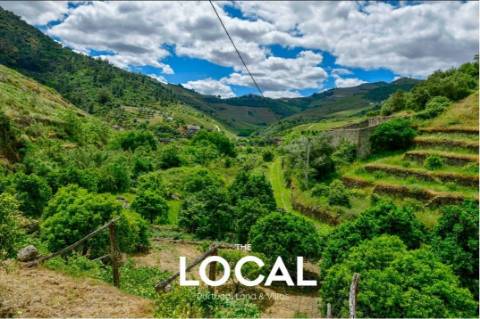 QUINTA HISTÓRICA DO DOURO