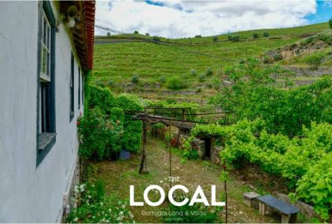 QUINTA HISTÓRICA DO DOURO