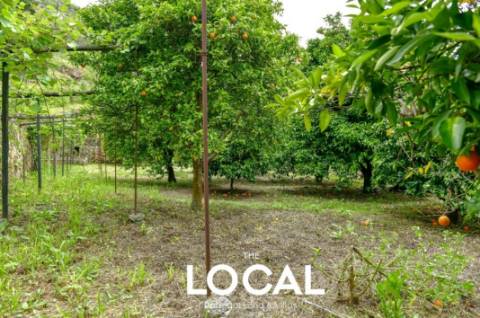 QUINTA HISTÓRICA DO DOURO