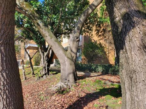 T4 novo Foco C/ varanda