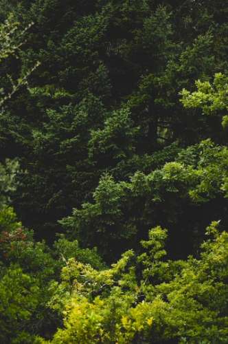 Moradia T4 em frente ao rio no Gerês