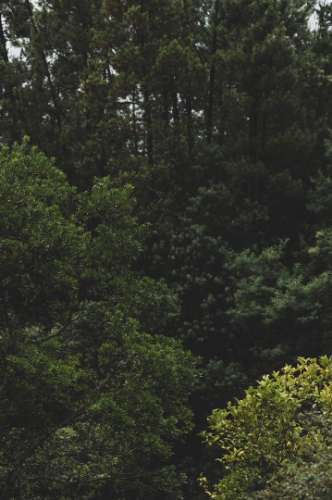 Moradia T4 em frente ao rio no Gerês