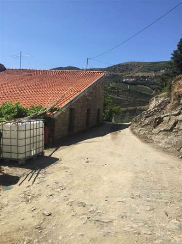 Quinta no Douro ao Pinhão