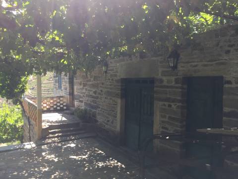 Quinta no Douro ao Pinhão
