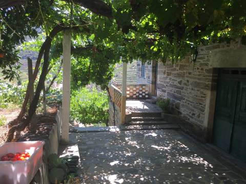 Quinta no Douro ao Pinhão