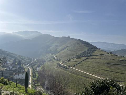 Quinta no Douro ao Pinhão