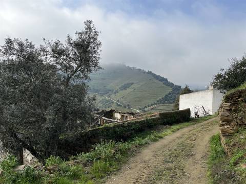 Quinta no Douro ao Pinhão