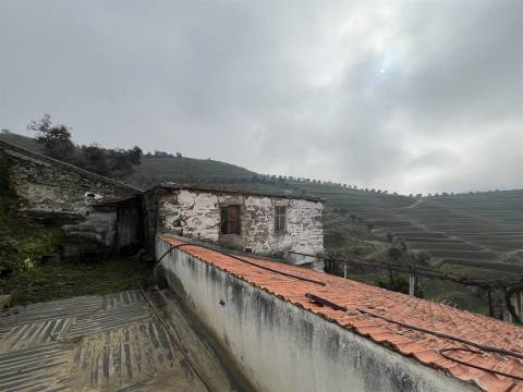Quinta no Douro ao Pinhão