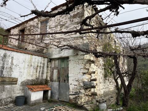 Quinta no Douro ao Pinhão