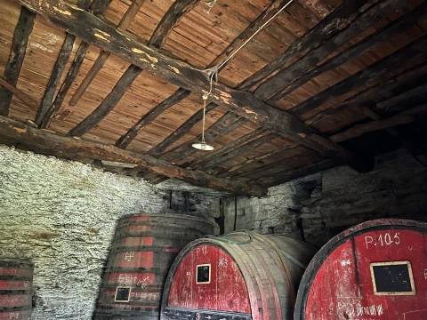 Quinta no Douro ao Pinhão