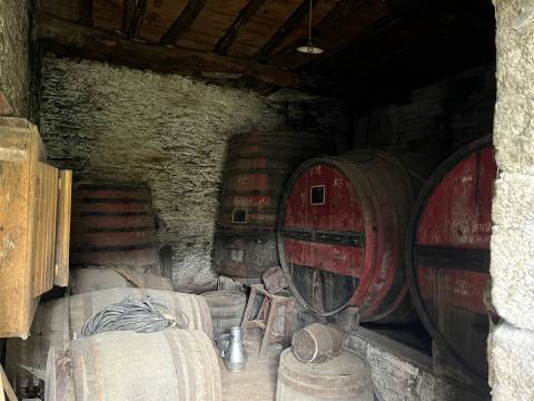 Quinta no Douro ao Pinhão