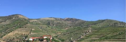 Quinta no Douro ao Pinhão