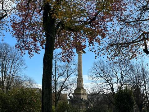 Prédio p/ construção na Avenida da Boavista, Porto