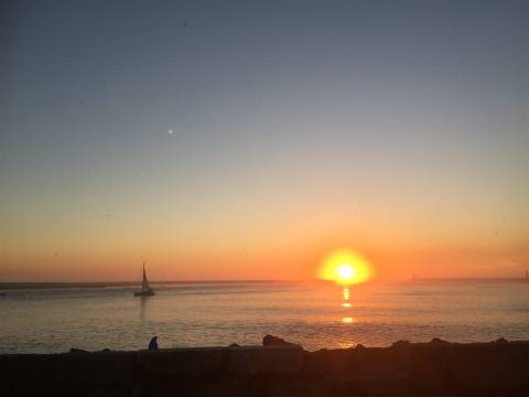 T1 luminoso na Foz Velha