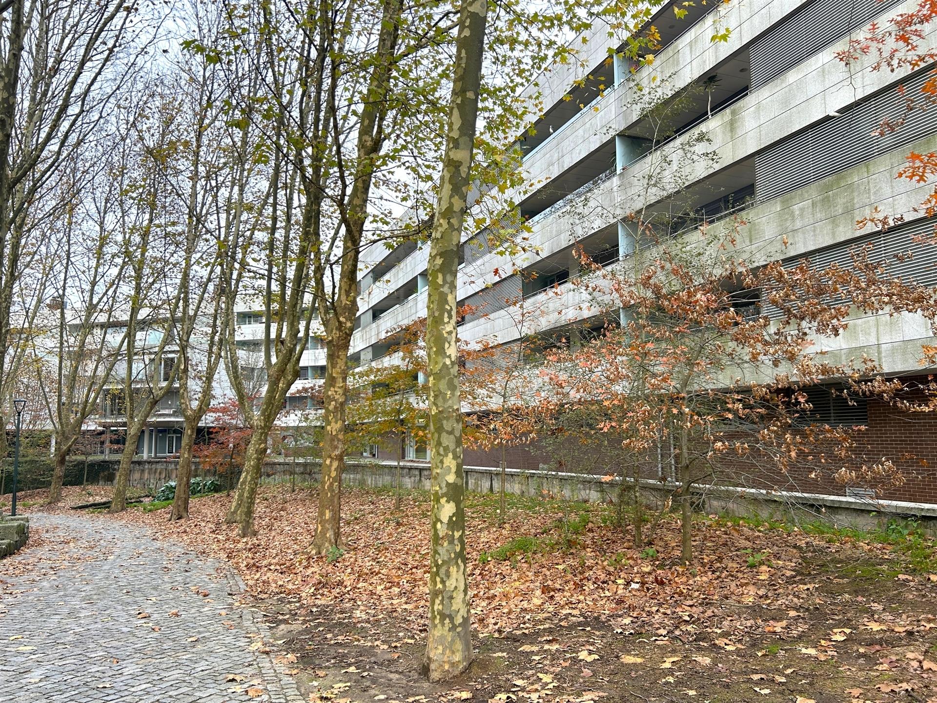 Apartamento T2 Venda em Aldoar, Foz do Douro e Nevogilde,Porto