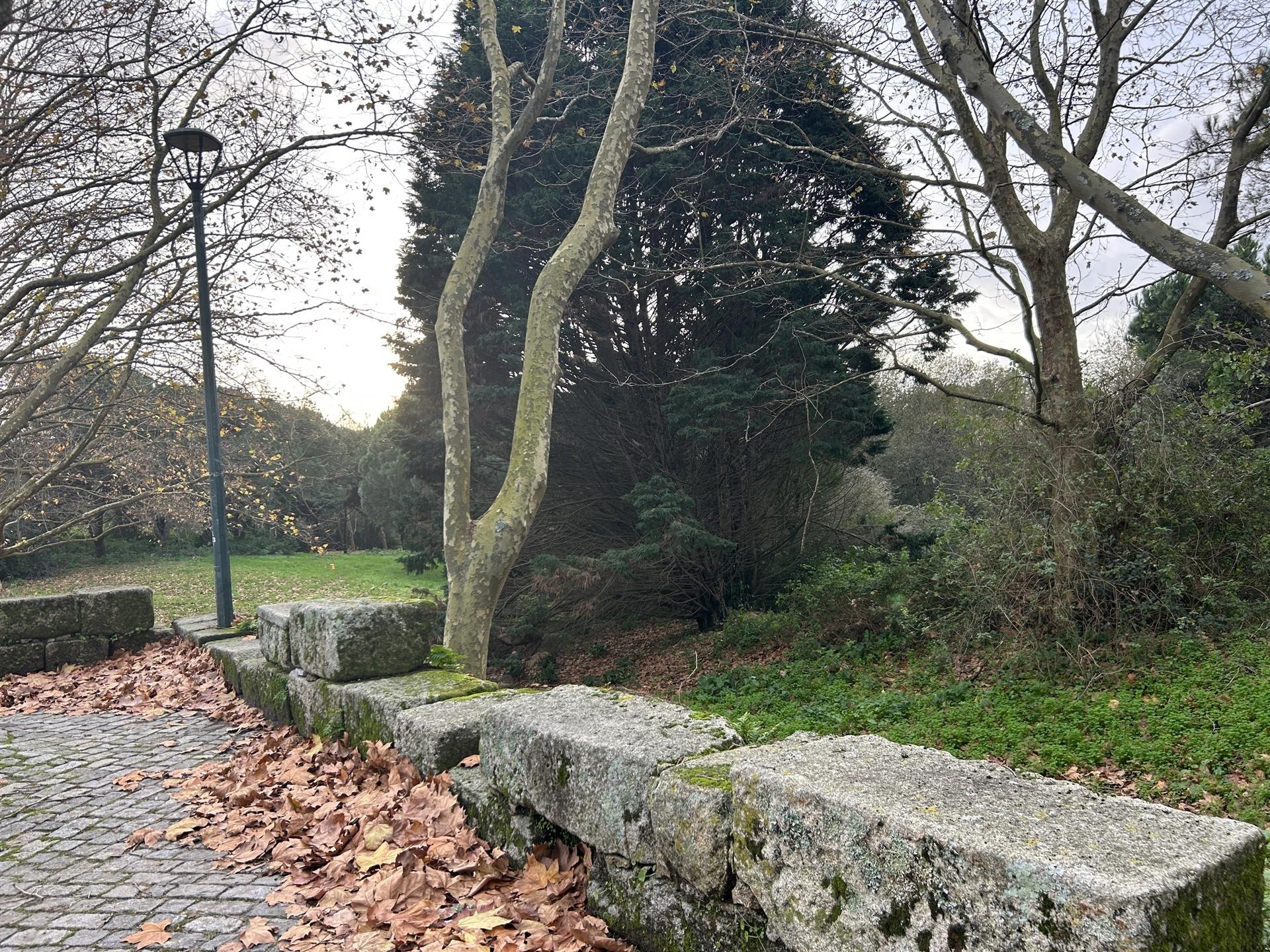 Apartamento T2 Venda em Aldoar, Foz do Douro e Nevogilde,Porto