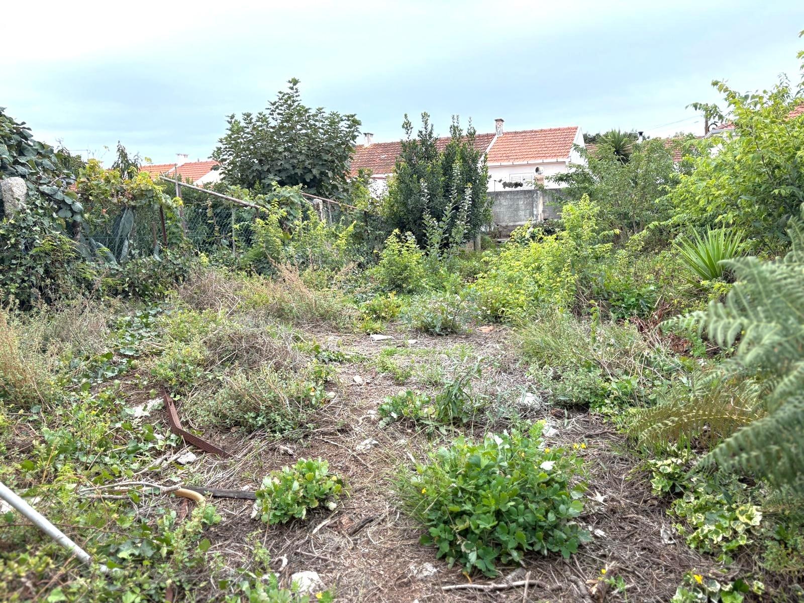 Moradia para reabilitar ou aumentar num lote de 429 m2 em Aldoar