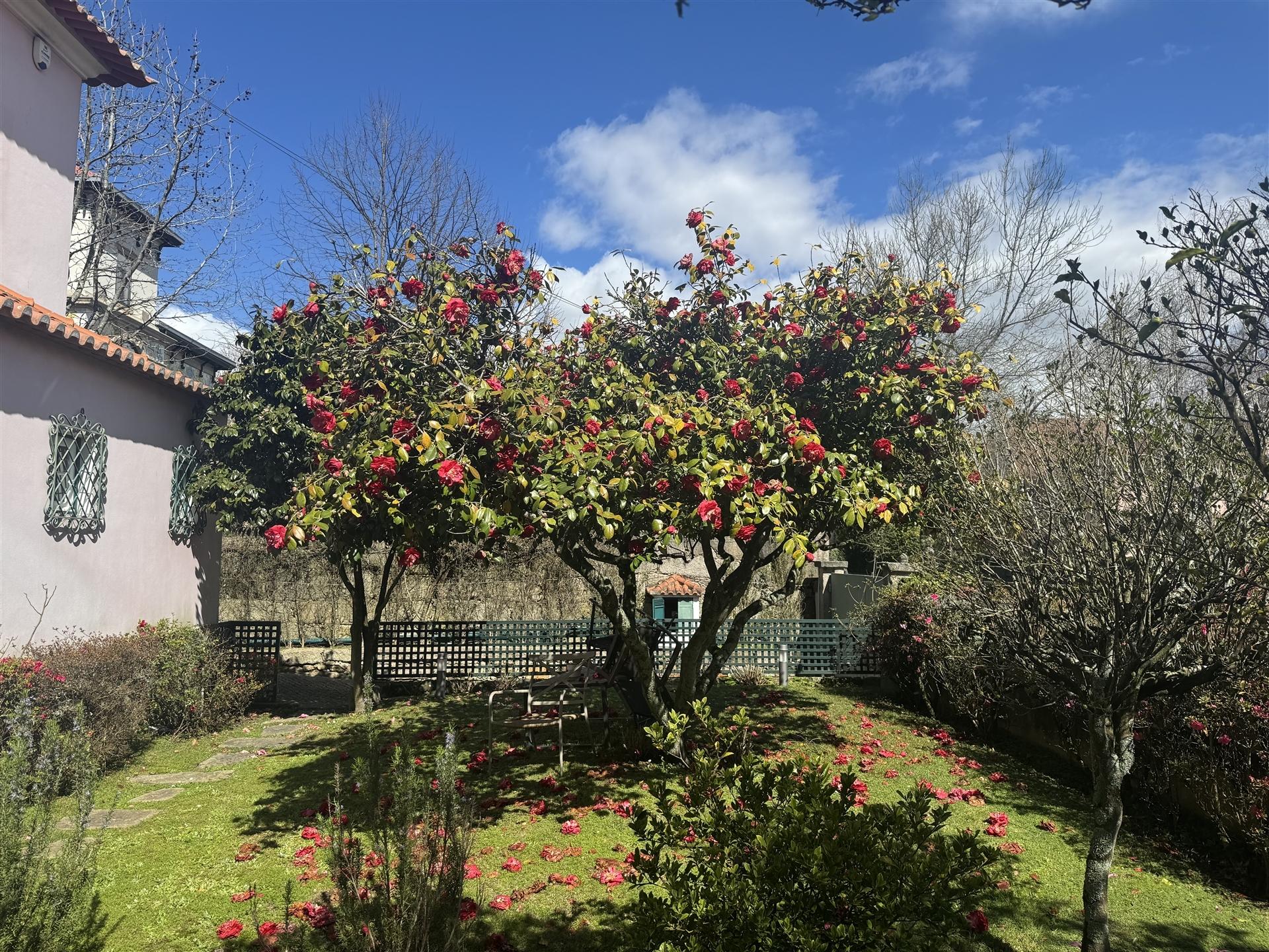 Moradia T6 c/ T1 no jardim à Boavista no Bairro Hollywood