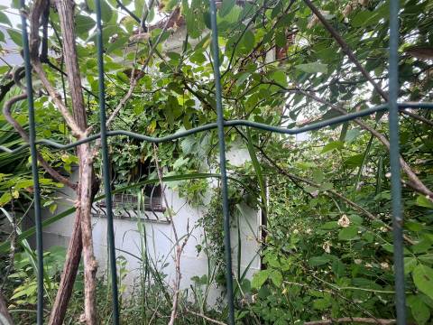 Moradia T4 c/ jardim junto ao rio nas Condominhas