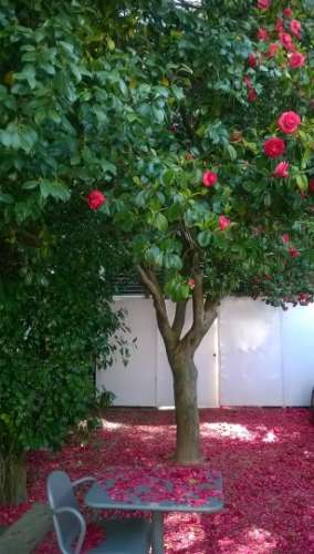 Moradia p/ venda com Jardim e Pátio Exterior | Campo Alegre, Porto