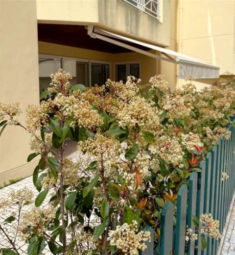 T4+1 com vista mar | Zona Exterior e Varanda | Pinhais da Foz