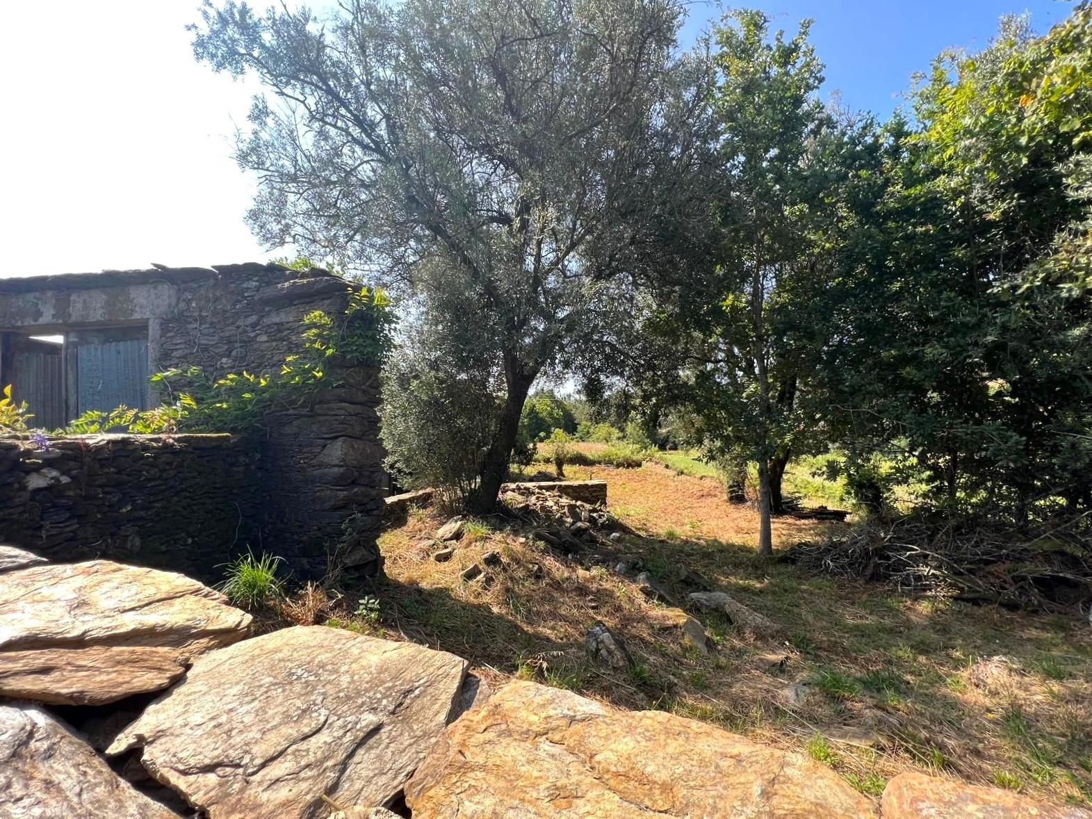 Terreno com ruína e anexos | Orbacém