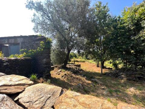 Terreno com ruína e anexos | Orbacém