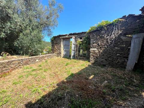 Terreno com ruína e anexos | Orbacém
