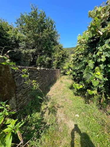 Terreno com ruína e anexos | Orbacém