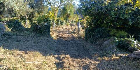 Terreno com ruína e anexos | Orbacém