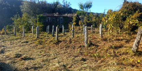 Terreno com ruína e anexos | Orbacém