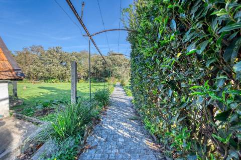 Quinta T7+3 com jardim, bosque e piscina | Grande Porto
