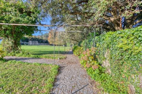 Quinta T7+3 com jardim, bosque e piscina | Grande Porto