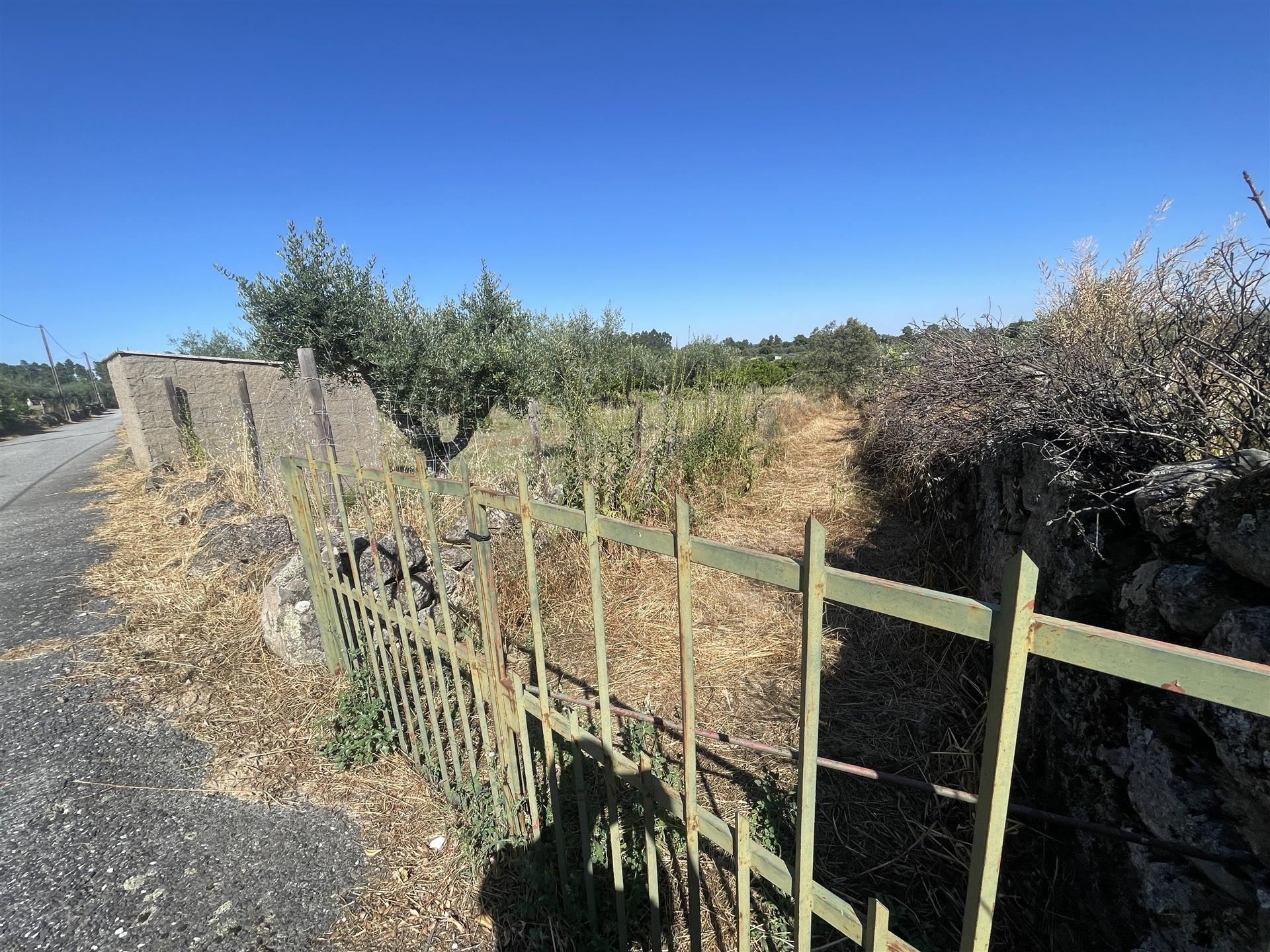 Terreno Rústico  Venda em Escalos de Cima e Lousa,Castelo Branco