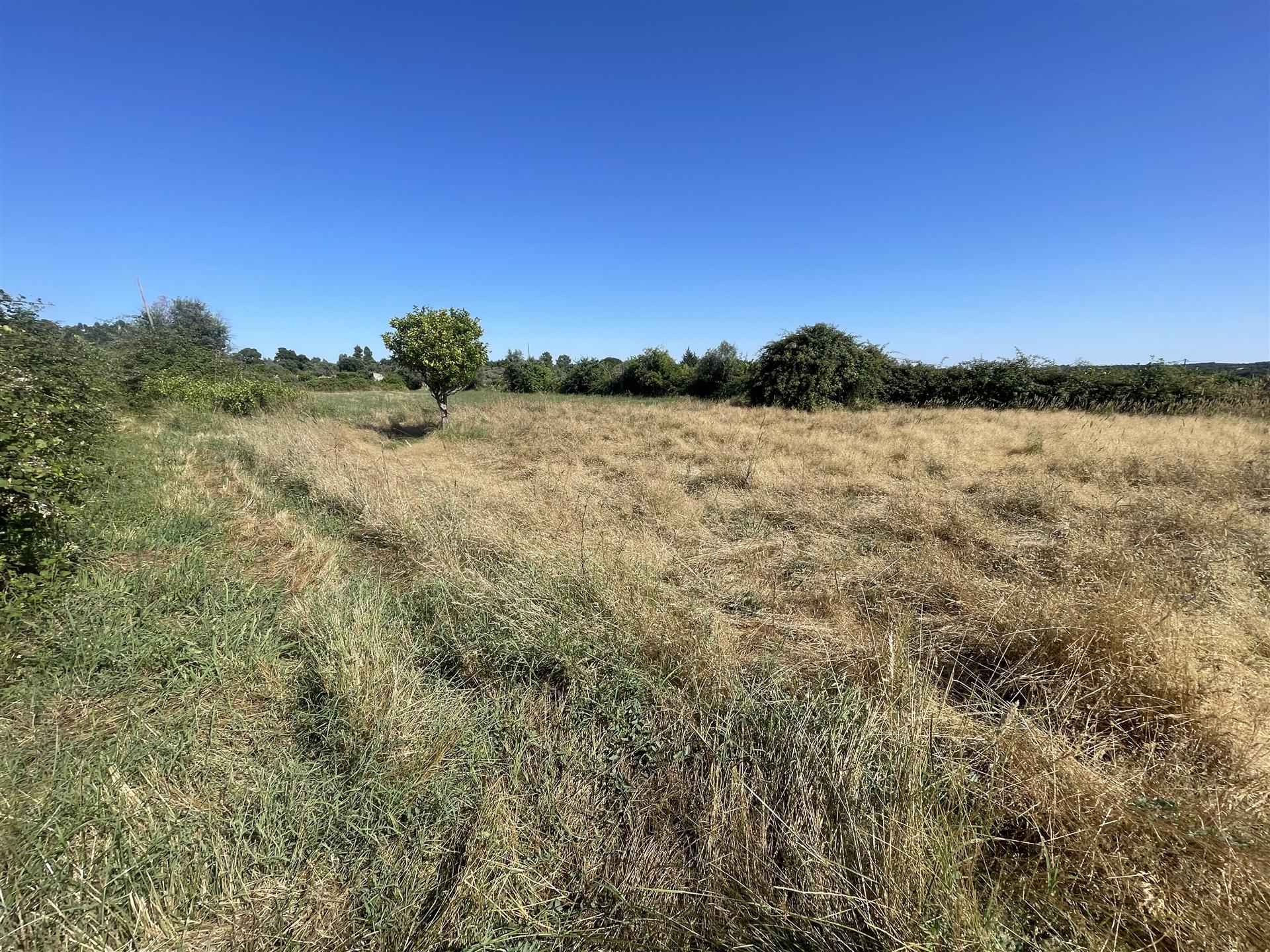 Terreno Rústico  Venda em Escalos de Cima e Lousa,Castelo Branco