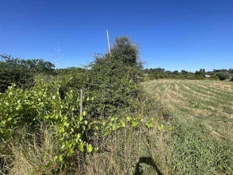 Terreno Rústico  Venda em Escalos de Cima e Lousa,Castelo Branco