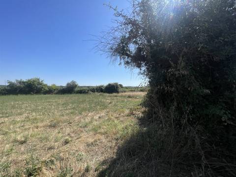 Terreno Rústico  Venda em Escalos de Cima e Lousa,Castelo Branco