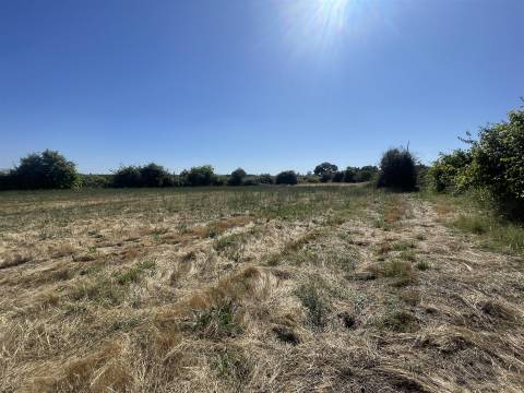 Terreno Rústico  Venda em Escalos de Cima e Lousa,Castelo Branco